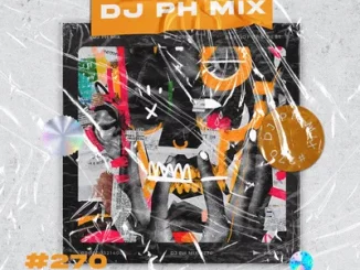 DJ PH - Mix 270 (Amapiano)