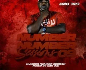 Dzo 729 - Number Number Session 9