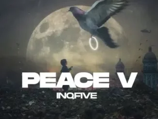InQfive - PEACE V