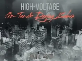 EP: Pro-Tee & Deejay Zebra - High Voltage
