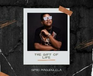Sipho Magudulela - Imisebenzi Yakho