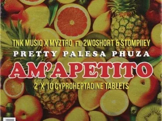 TNK MusiQ, Myztro & Xduppy - Am’apetito ft 2woshort & Stompiiey