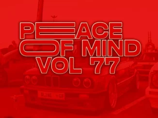 DJ Ace - Peace of Mind Vol 77