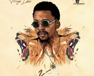 Album: Mvzzle - Thonga Lami