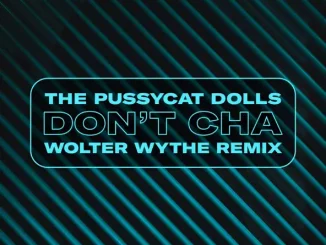 The Pussycat Dolls - Don't Cha (Wolter Wythe Remix)