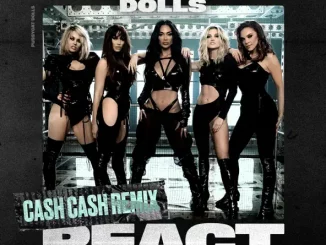 The Pussycat Dolls - React (Cash Cash Remix)
