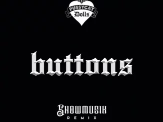 The Pussycat Dolls & Showmusik - Buttons (Showmusik TikTok Remix)